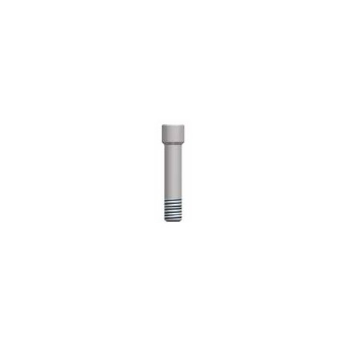 Advan Prosthetics Screw Type A - Pack of 3