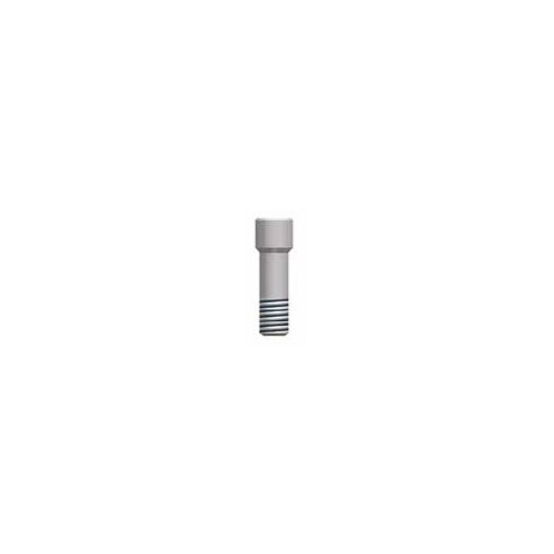 Advan Prosthetics Screw Type C - Pack of 3