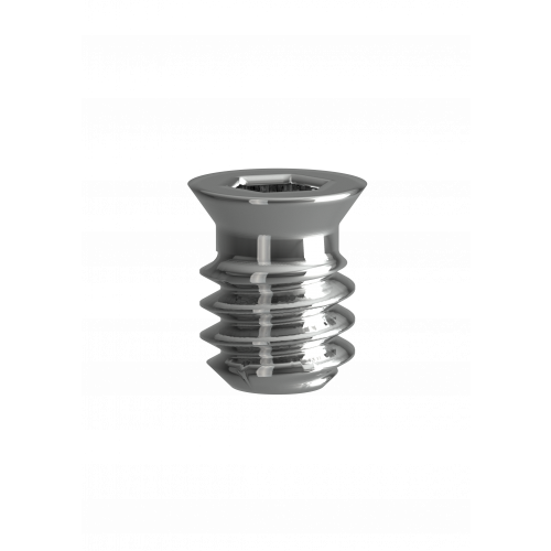 OT Equator Sealing Screw