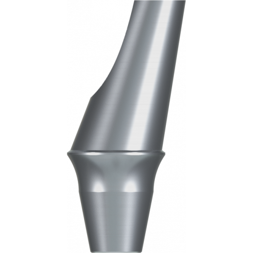 Snucone Couple Angled Abutment