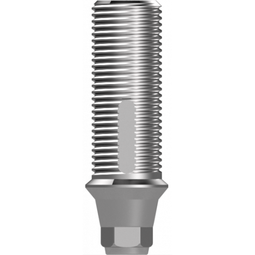 Snucone Ti Temporary Abutment