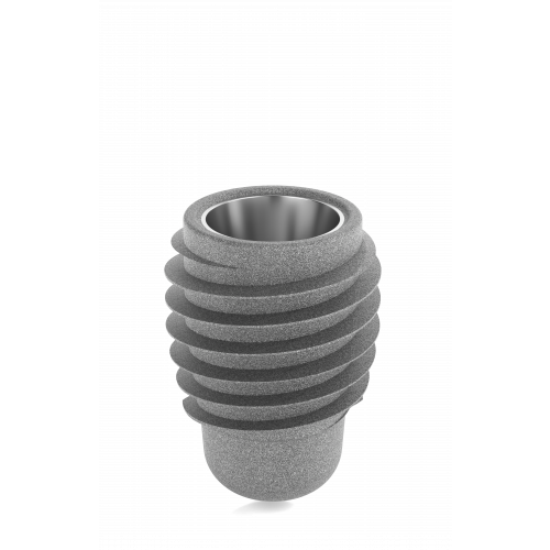 Advan GTB Implant Sinus