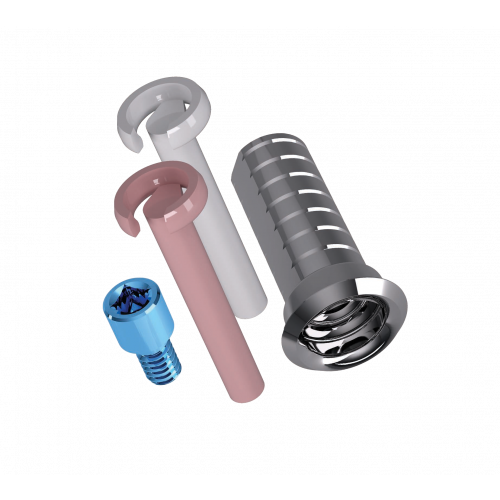 Extragrade Titanium Abutment Set - Straight - Diameter 4.0mm - Height 9.5mm
