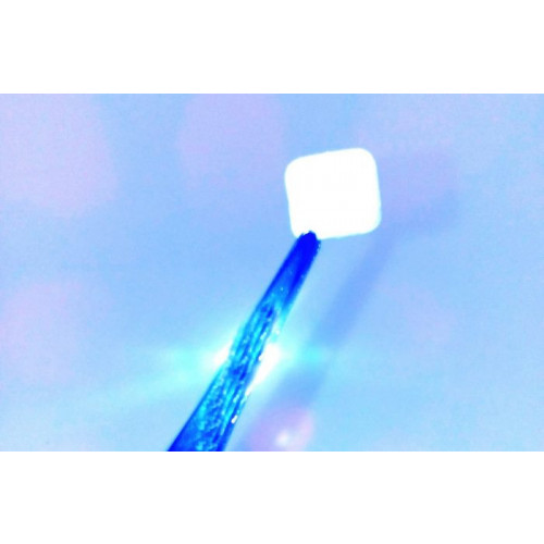 Sinoss Mem Seal 10x10x1.0mm