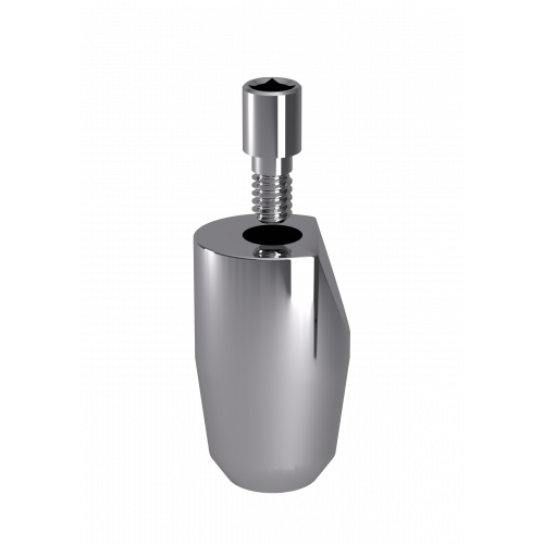 OT Equator Scan Abutment with Screw