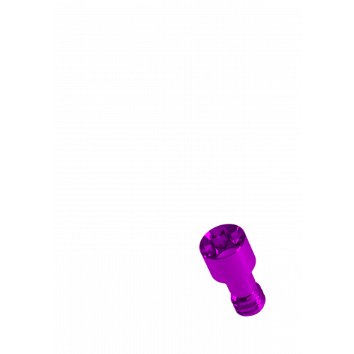 Rhein83 Short Titanium Screw for Mini Extragrade Abutment - Inclined