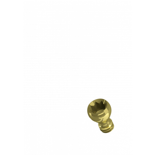 Rhein83 Spherica Titanium Screw for Inclined Abutment - Inclined