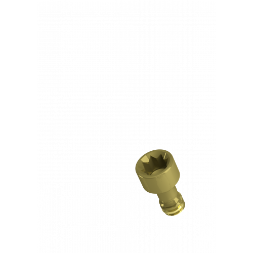 Rhein83 Titanium Screw for Extragrade Abutment - Inclined
