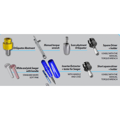 Rhein Bundle - Tools Plus Digital