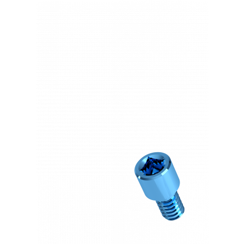 Rhein83 Short Titanium Screw for Extragrade Abutment - Straight - Height 2mm