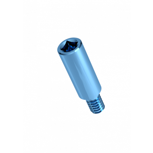 Rhein83 Medium Titanium Screw for Extragrade Abutment - Straight - Height 6mm