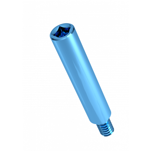 Rhein83 Extra Long Titanium Screw for Extragrade Abutment - Straight - Height 11.5mm