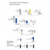 Angled Screw Abutment Non-Hex (Mini Connection - Implants 3.2mm, 3.5mm) D4.9 30° Cuff 1.6mm